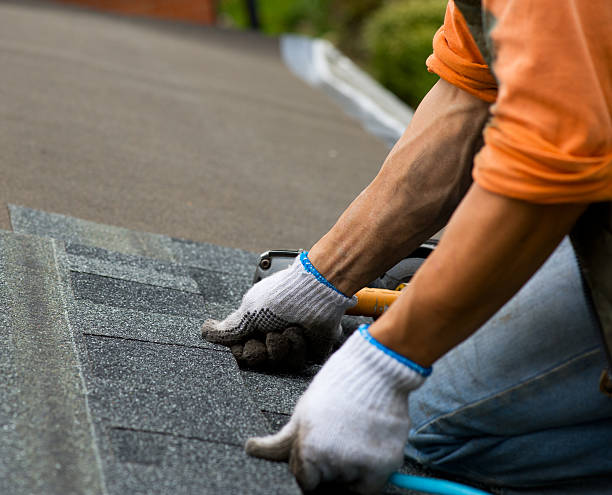 Best Roof Repair Specialists  in Putney, GA